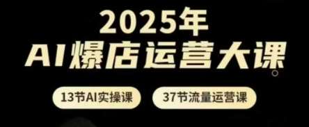 2025年AI爆店运营大课，13节AI实操课+37节流量运营课插图