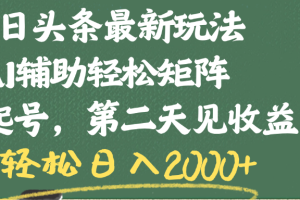 今日头条最新玩法，AI辅助轻松矩阵，当天起号，第二天见收益，轻松日入2000+